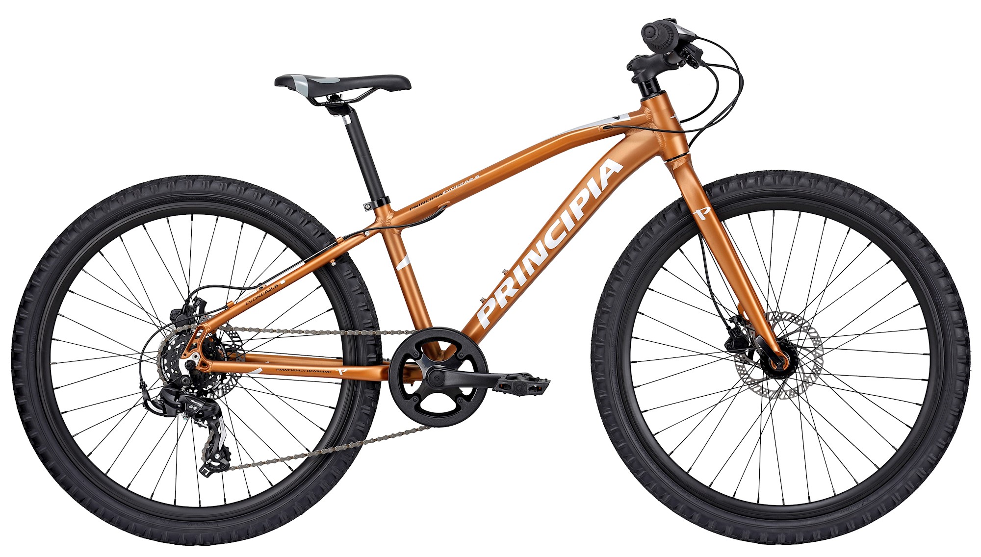 Principia A2   26 Quot  2023 Brun