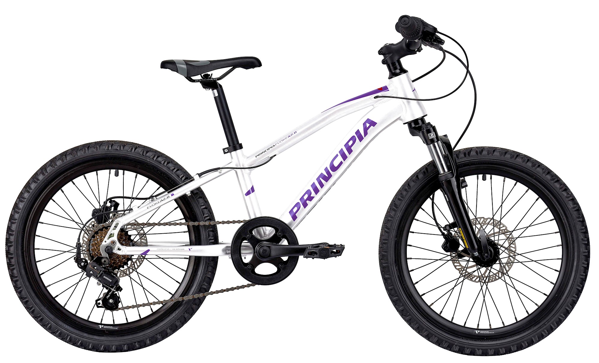 Principia A2   20 Quot  2023 Hvid